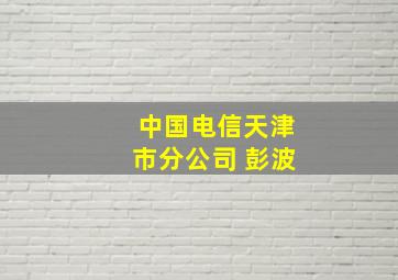 中国电信天津市分公司 彭波